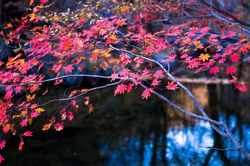 sgp3水果派官网推荐